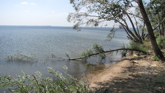 Скандал с коттеджем семьи Юревича и закрытие суши-баров "Дзёдо". ДАЙДЖЕСТ DK.RU 2