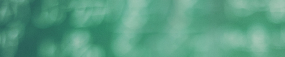 Образование: путь к успешной карьере - Деловой квартал