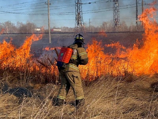Штрафы выросли вдвое: в Челябинской области объявлен особый режим из-за лесных пожаров