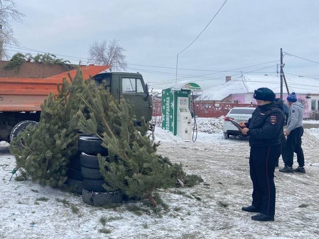 Челябинские чиновники изъяли у торговцев 250 ёлок