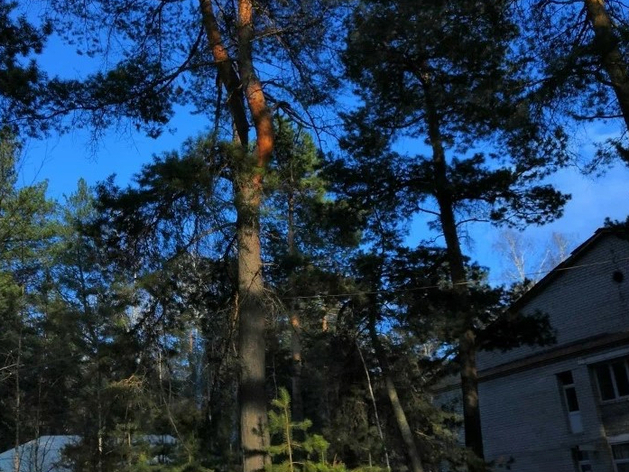 Гостиницу рядом с термами в Челябинской области выставили на продажу Гостиницу рядом с термами в Челябинской области выставили на продажу