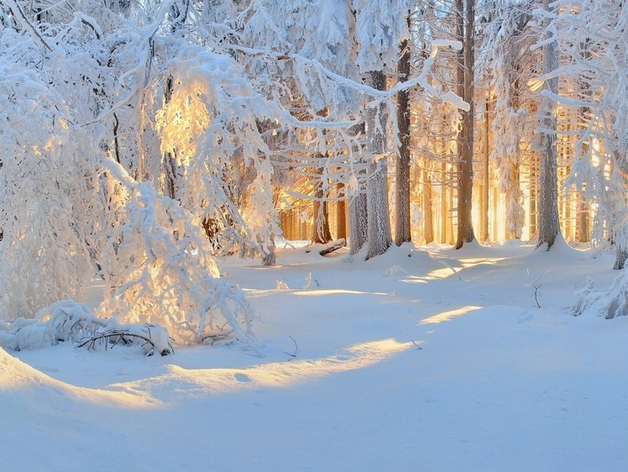 В Троицком районе выставят на продажу почти 1300 гектаров заповедной земли
В Троицком районе выставят на продажу почти 1300 гектаров заповедной земли