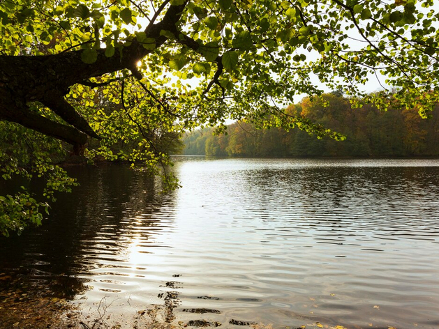 Случаи экстремального загрязнения водоёмов Челябинской области увеличились в полтора раза