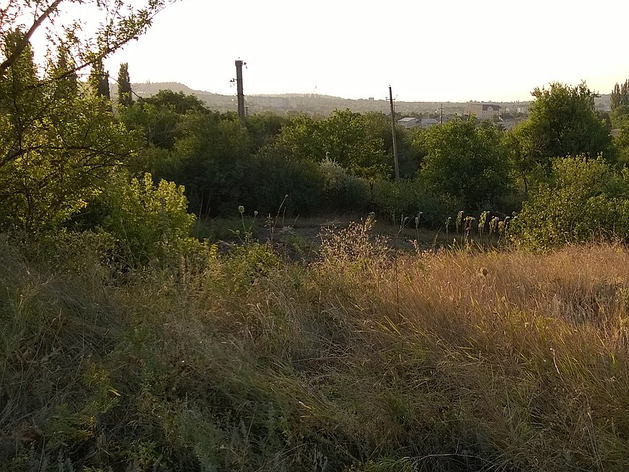 Сельхозпредприятия Челябинской области оштрафуют за неиспользование земли