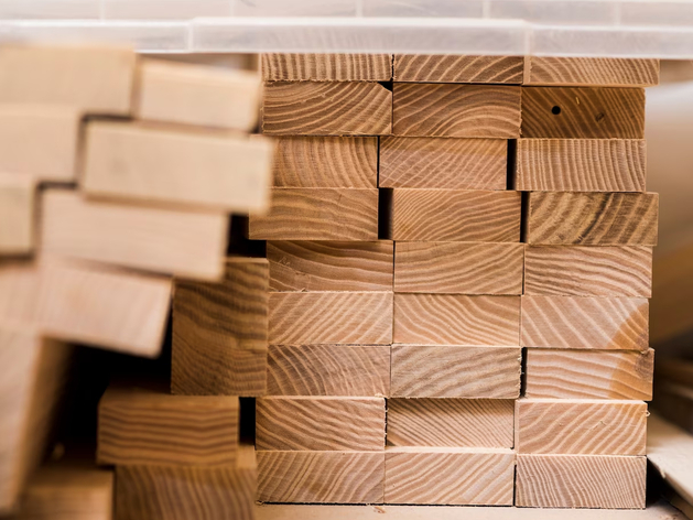 На Южном Урале выросли объёмы нелегальных вырубок леса