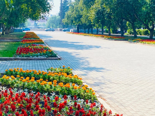 Озеленением Челябинска займётся новая организация Озеленением Челябинска займётся новая организация