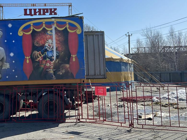 Цирк в Челябинской области прошел лицензирование