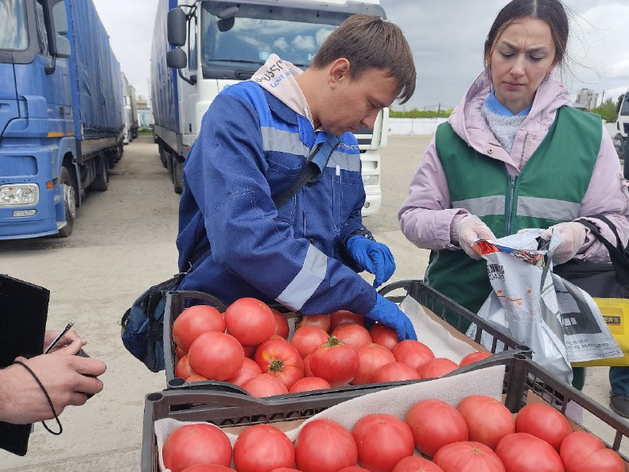 Рекордные партии овощей и фруктов завезли из-за рубежа в Челябинскую область