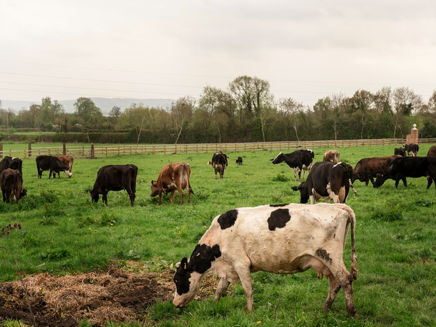 Агрохолдинг из Челябинской области требуют признать банкротом

