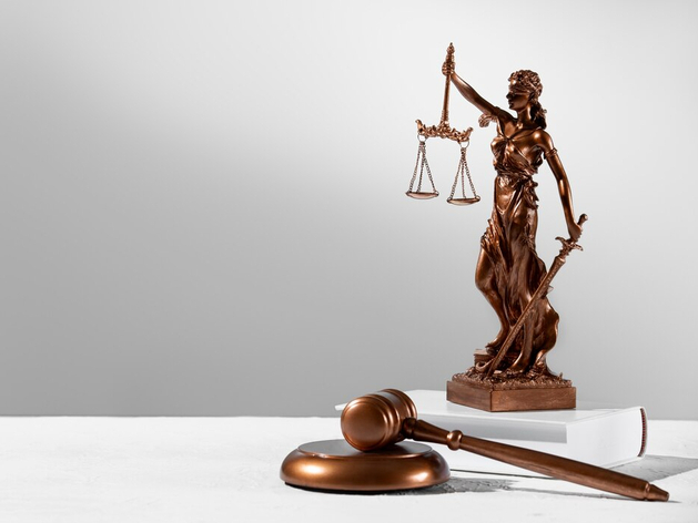 Дочь экс-владельца челябинского «Арианта» проиграла суд приставам 