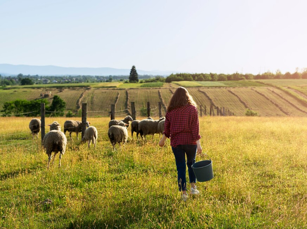 Нового владельца ищут для фермерского хутора вблизи Челябинска