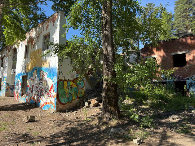 Развалины среди сосен: в Челябинске снесут опасные здания в городском бору

