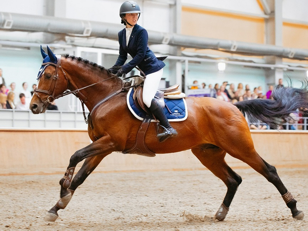 Атмосфера спортивного азарта: в Челябинске пройдут всероссийские соревнования по конкуру
