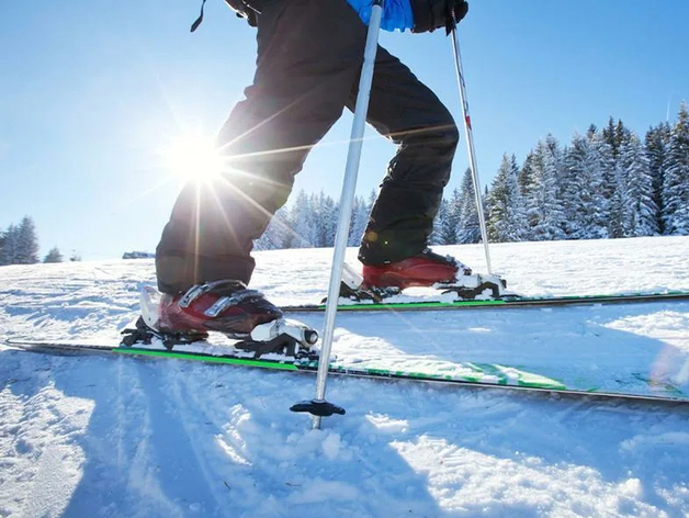 Строительство одного из участков лыжероллерной трассы согласовали с челябинцами Строительство одного из участков лыжероллерной трассы согласовали с челябинцами
