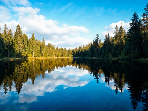 Заброшенную базу отдыха возродят на берегу озера Увильды в Челябинской области Заброшенную базу отдыха возродят на берегу озера Увильды в Челябинской области