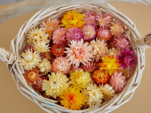 11 предпринимателей региона стали участниками акселератора «Готовый продукт»