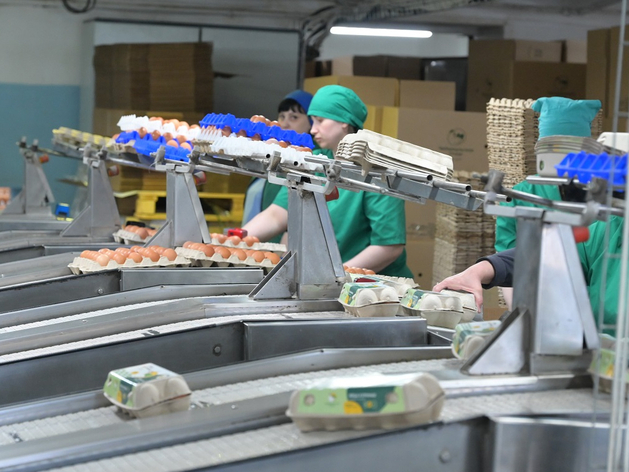 «Чебаркульская птица» прокомментировала ситуацию с гибелью на производстве «Чебаркульская птица» прокомментировала ситуацию с гибелью на производстве