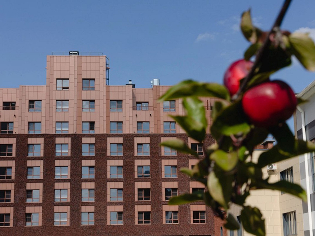 Орхидеи, цитрусовые и суккуленты: показан проект ботанического сада челябинского кампуса Орхидеи, цитрусовые и суккуленты: показан проект ботанического сада челябинского кампуса