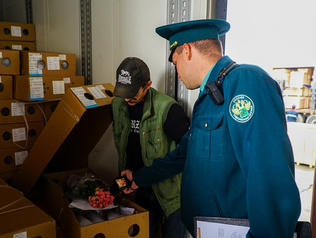 На Южный Урал завезли товар с ажиотажным спросом ко Дню знаний — более 7 тонн в фурах На Южный Урал завезли товар с ажиотажным спросом ко Дню знаний — более 7 тонн в фурах