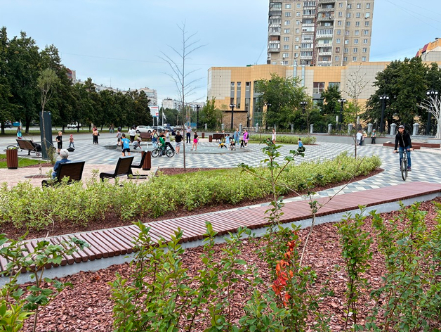 Сменит ли Челябинск серые заборы на живые изгороди? Сменит ли Челябинск серые заборы на живые изгороди?