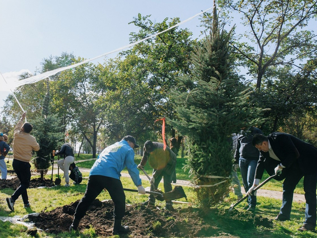 «Зеленый театр» провел высадку деревьев в честь дня рождения Челябинска