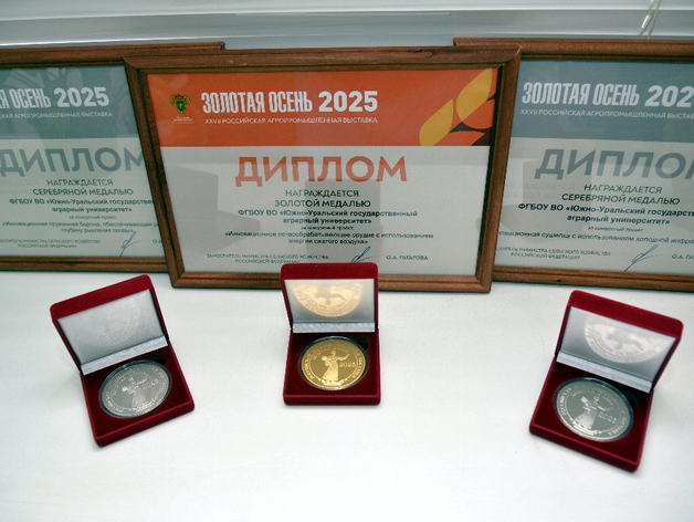 Пневмоплуг, фрукты и йогурт: челябинскую продукцию отметили на «Золотой осени» 
