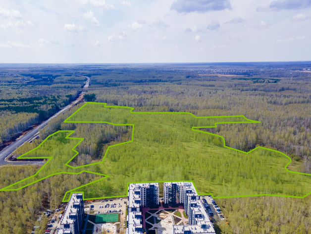 Почти 100 гектаров под Челябинском передадут под КРТ через аукцион
