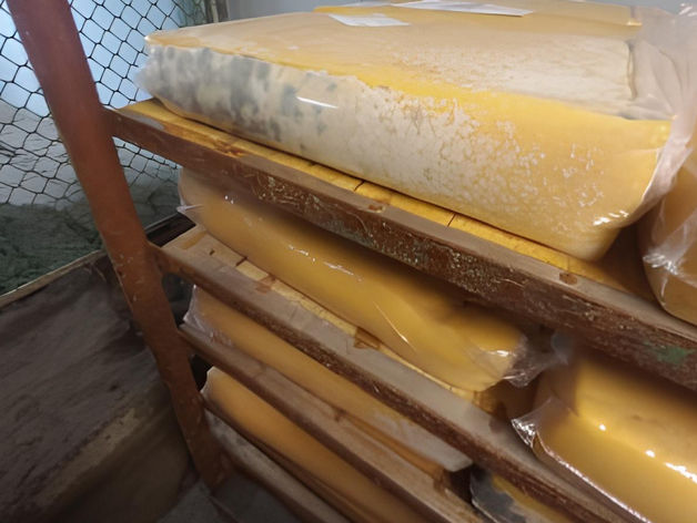 Молочный завод в Челябинской области делал сыр из просроченного сырья