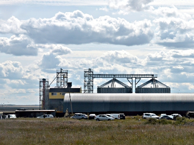 Спрос на аграриев: каких специалистов ищут в сельских районах Челябинской области Спрос на аграриев: каких специалистов ищут в сельских районах Челябинской области