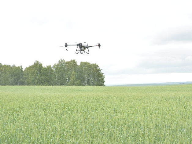 Челябинские аграрии нарастят количество дронов для обработки полей
Челябинские аграрии нарастят количество дронов для обработки полей